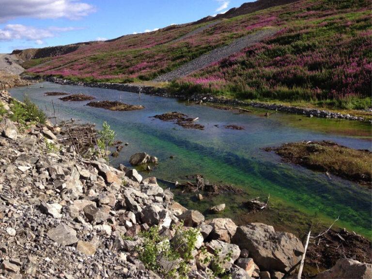 Okane Consultants mine closure revegetated cover systems