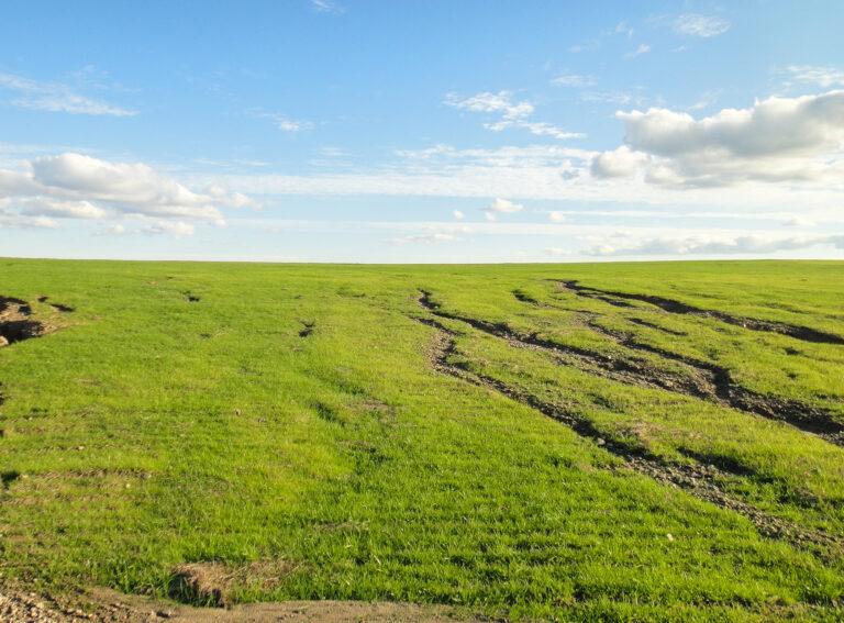 Gully Formation